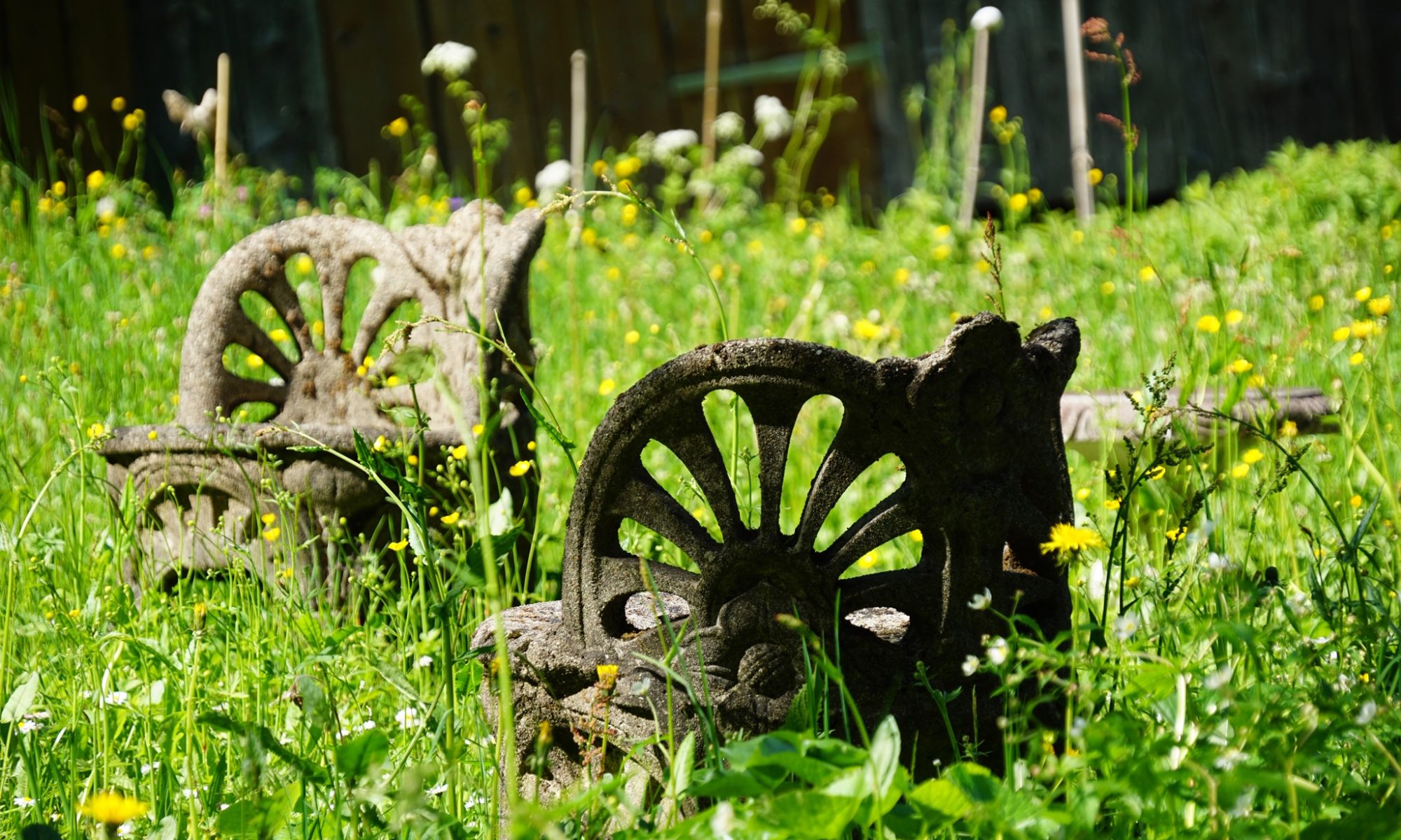 Oda kt essay vorlage 05 picture